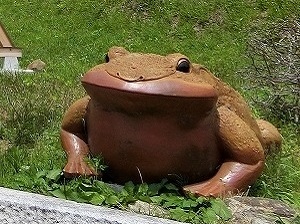 Frog Ornament in Hattoji