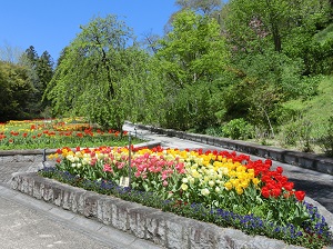 Handayama Botanical Garden