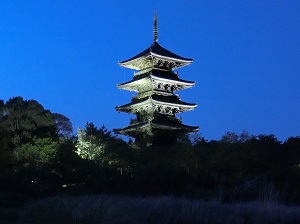 Five-storey Pagoda of Bitchu Kokubunji Temple Lit Up for Festival