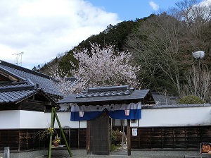 Nakatsui Jinya